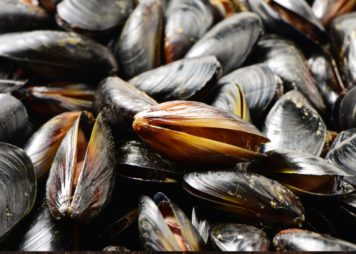 How to clean mussels Discover Seafood