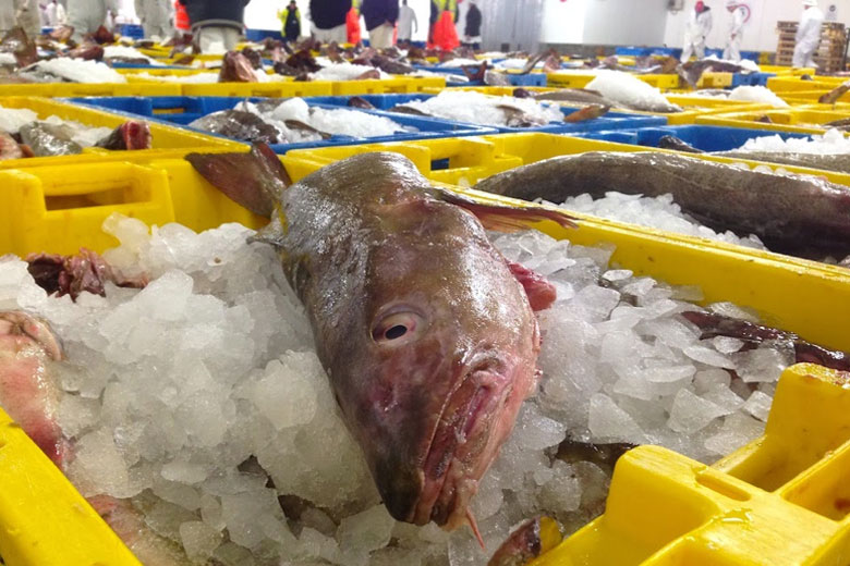 GrimsbyFishMarket780