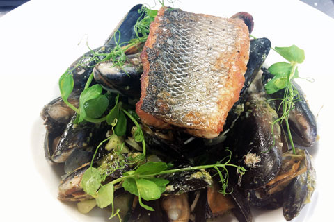 Sea bass with mussels, pesto, samphire and cucumber - Discover Seafood