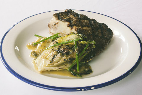 Brill, grilled gem and capers - Discover Seafood