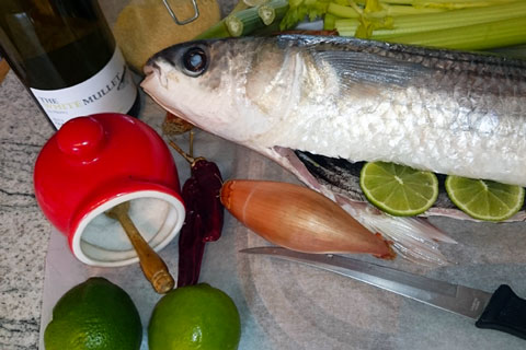 Grey mullet with chilli-anchovy pangrattato - Discover Seafood