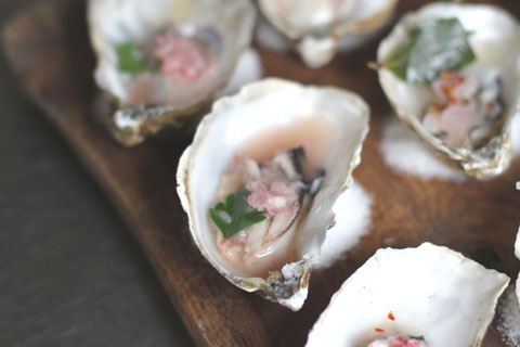 Rhubarb and oyster ceviche - Discover Seafood
