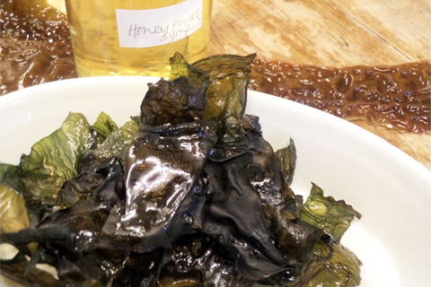 Sweet sugar kelp crisps - Discover Seafood