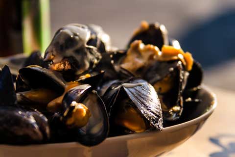 Mussels with ale and mustard - Discover Seafood