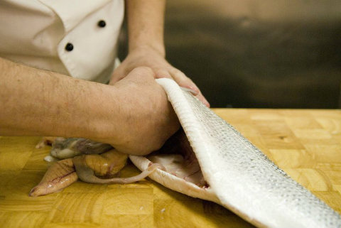 How to gut round fish - Discover Seafood