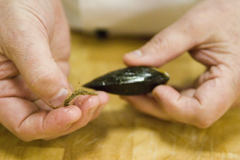 How to clean mussels Discover Seafood